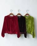 Clarissa Velvet Blouse