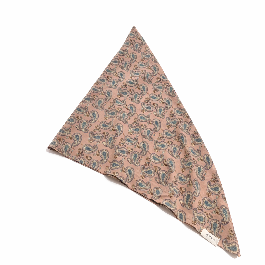 Paisley Triangle Scarf